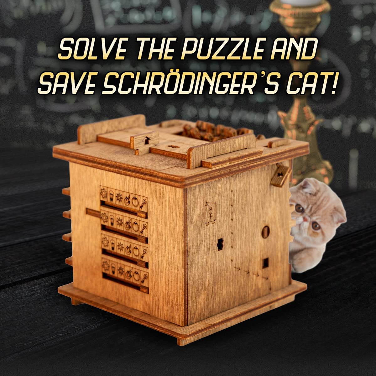 CLUEBOX - Schrödingers Cat puzzle box – Kpuzzle